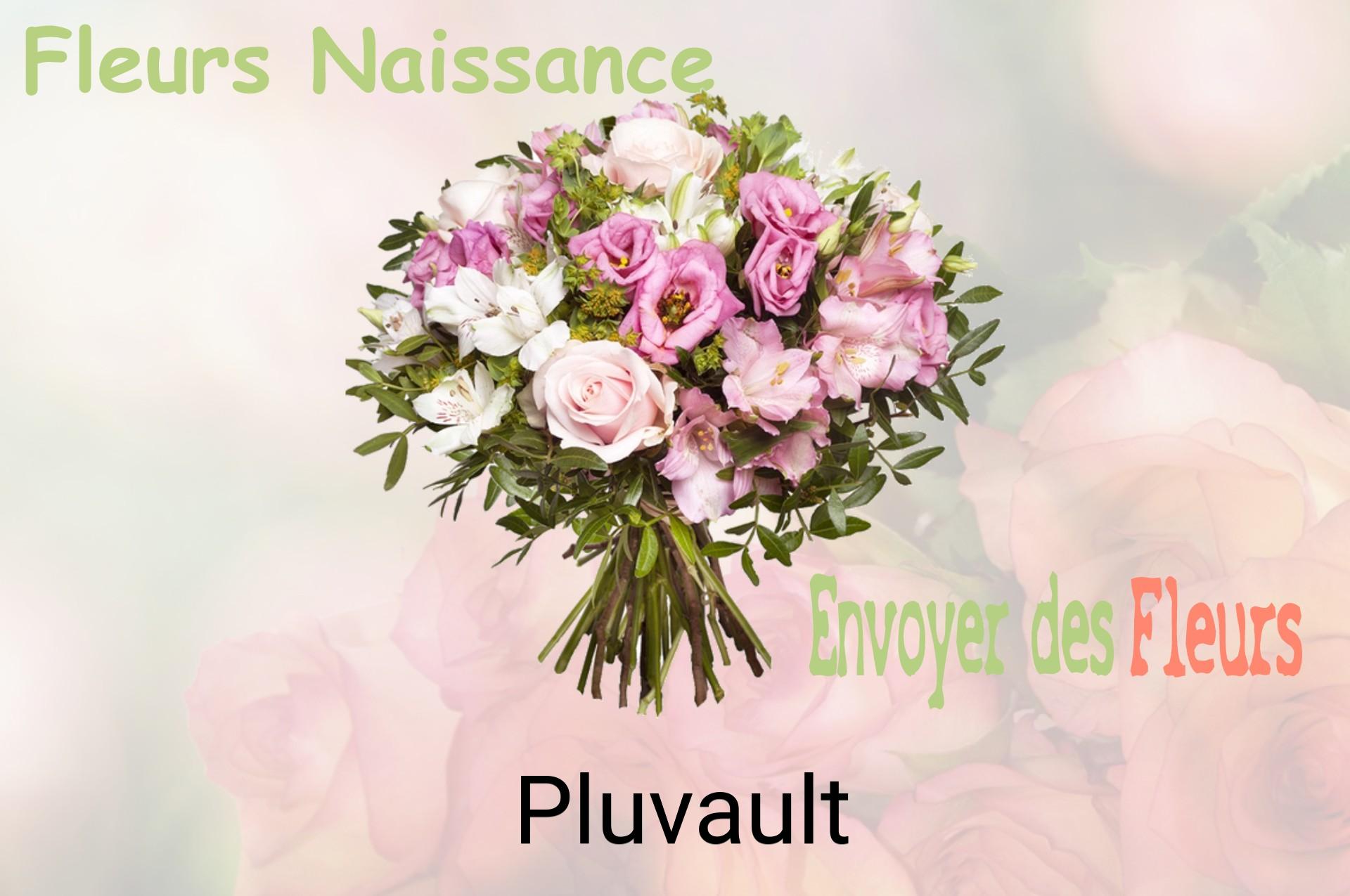 Bouquet de fleurs de naissance livré à Pluvault